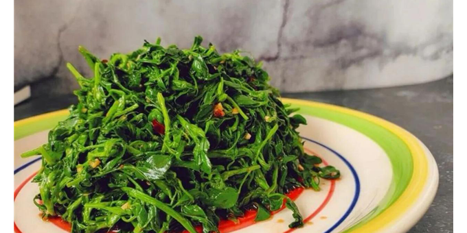 在庆阳，嚼尽一整个春日的温柔